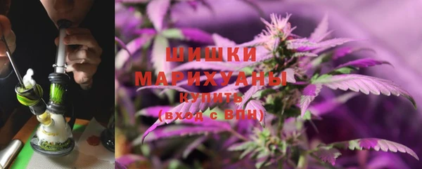 крисы Медногорск