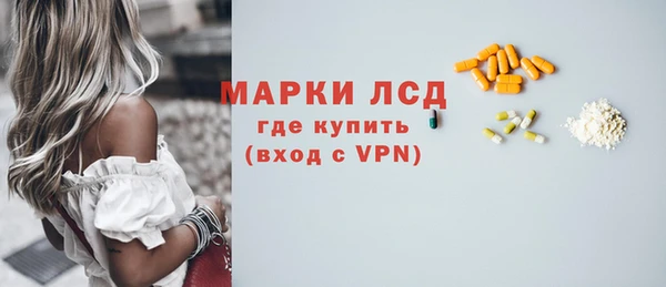 хмурый Абаза
