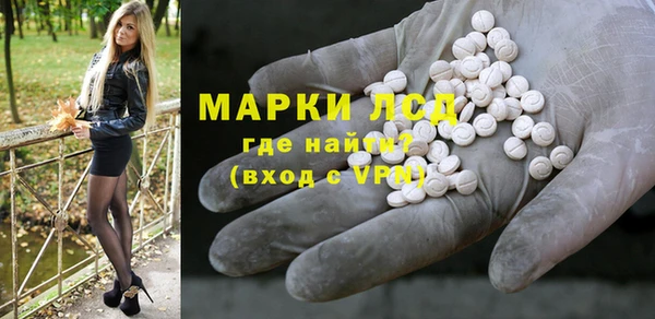 хмурый Абаза