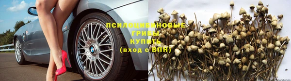 хмурый Абаза