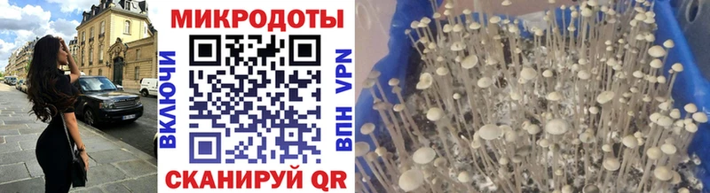 Галлюциногенные грибы мухоморы  omg ССЫЛКА  Усть-Катав 